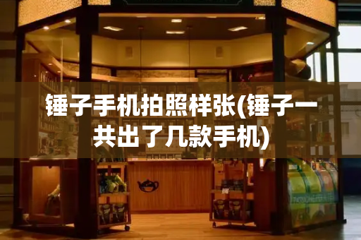 锤子手机拍照样张(锤子一共出了几款手机)-第1张图片-星选测评