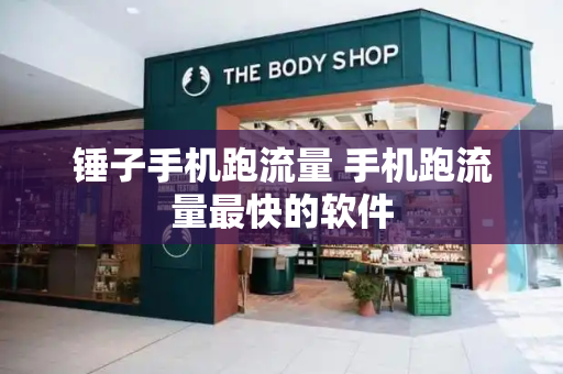 锤子手机跑流量 手机跑流量最快的软件-第1张图片-星选测评
