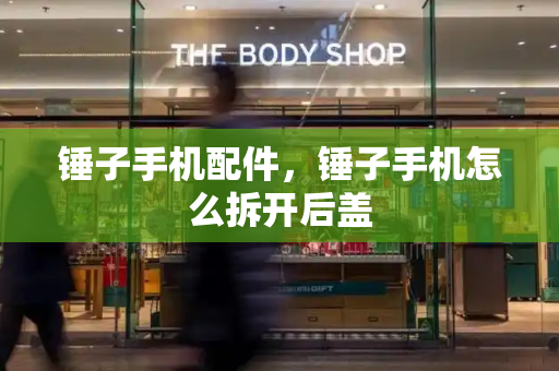 锤子手机配件，锤子手机怎么拆开后盖