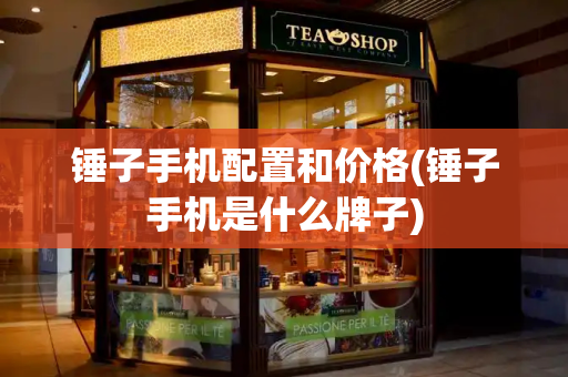 锤子手机配置和价格(锤子手机是什么牌子)-第1张图片-星选测评