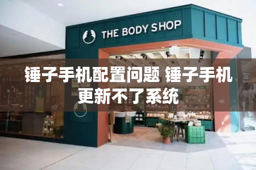 锤子手机配置问题 锤子手机更新不了系统-第1张图片-星选测评