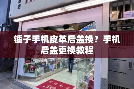 锤子手机皮革后盖换？手机后盖更换教程-第1张图片-星选测评