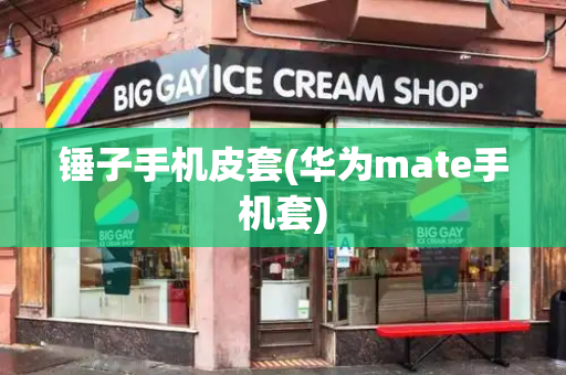 锤子手机皮套(华为mate手机套)
