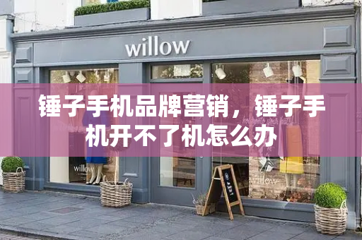 锤子手机品牌营销，锤子手机开不了机怎么办-第1张图片-星选测评