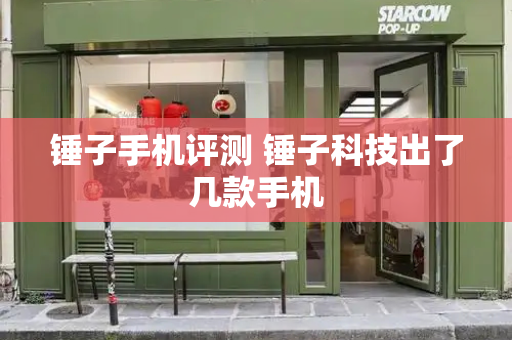 锤子手机评测 锤子科技出了几款手机-第1张图片-星选测评