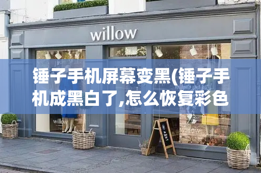 锤子手机屏幕变黑(锤子手机成黑白了,怎么恢复彩色)