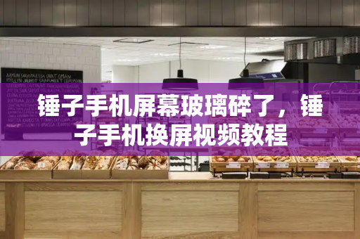 锤子手机屏幕玻璃碎了，锤子手机换屏视频教程-第1张图片-星选测评