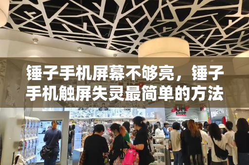锤子手机屏幕不够亮，锤子手机触屏失灵最简单的方法