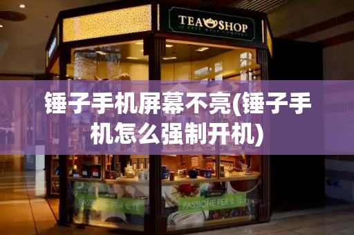 锤子手机屏幕不亮(锤子手机怎么强制开机)-第1张图片-星选测评