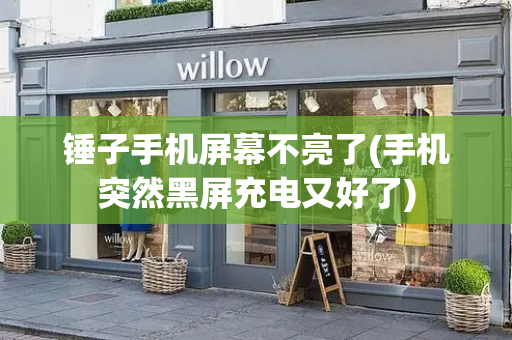 锤子手机屏幕不亮了(手机突然黑屏充电又好了)