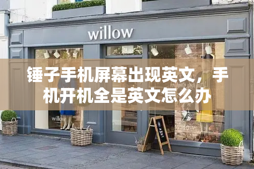 锤子手机屏幕出现英文，手机开机全是英文怎么办-第1张图片-星选测评