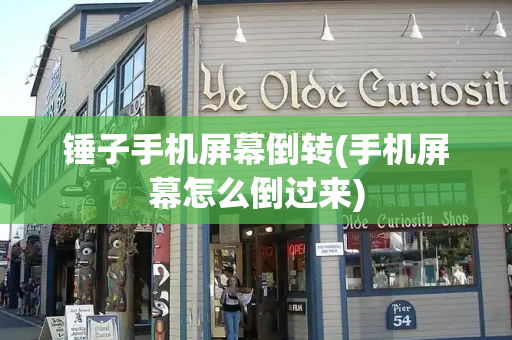 锤子手机屏幕倒转(手机屏幕怎么倒过来)-第1张图片-星选测评