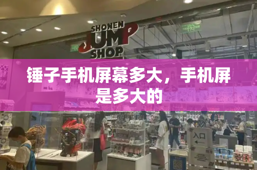 锤子手机屏幕多大，手机屏是多大的-第1张图片-星选测评