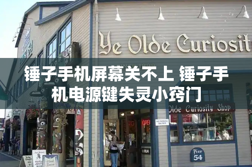 锤子手机屏幕关不上 锤子手机电源键失灵小窍门-第1张图片-星选测评