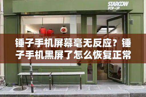 锤子手机屏幕毫无反应？锤子手机黑屏了怎么恢复正常-第1张图片-星选测评