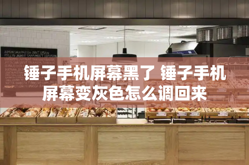 锤子手机屏幕黑了 锤子手机屏幕变灰色怎么调回来-第1张图片-星选测评
