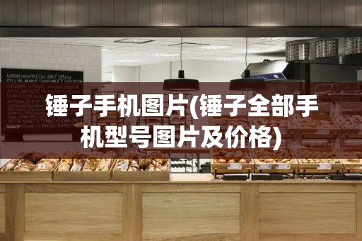 锤子手机图片(锤子全部手机型号图片及价格)-第1张图片-星选测评