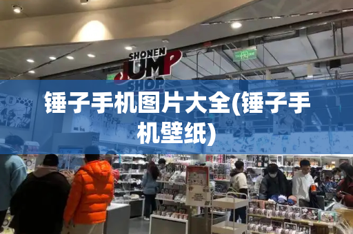 锤子手机图片大全(锤子手机壁纸)-第1张图片-星选测评