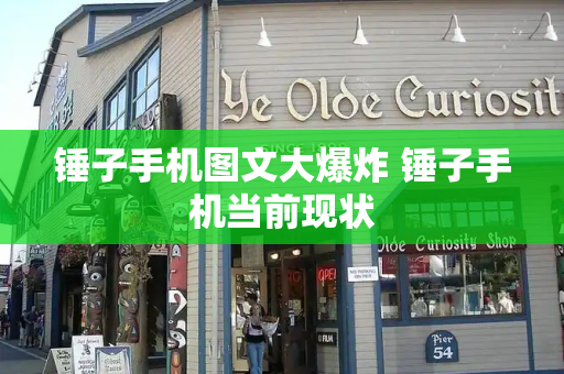 锤子手机图文大爆炸 锤子手机当前现状-第1张图片-星选测评
