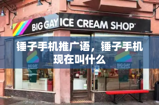 锤子手机推广语，锤子手机现在叫什么