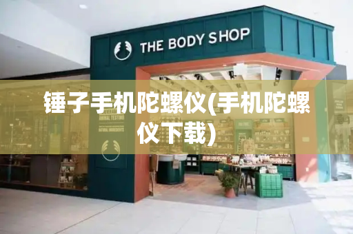 锤子手机陀螺仪(手机陀螺仪下载)