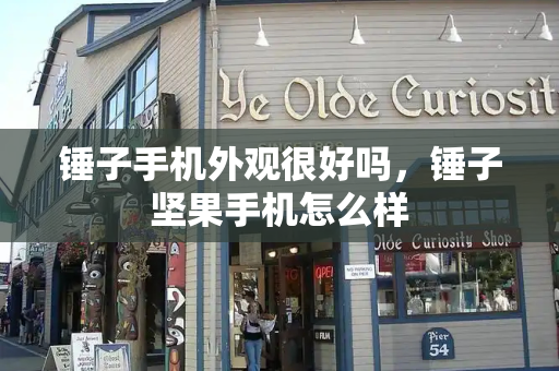 锤子手机外观很好吗，锤子坚果手机怎么样