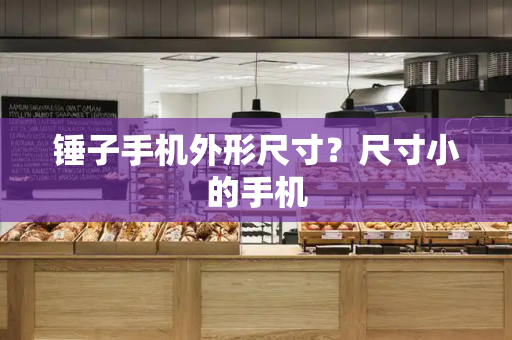 锤子手机外形尺寸？尺寸小的手机-第1张图片-星选测评
