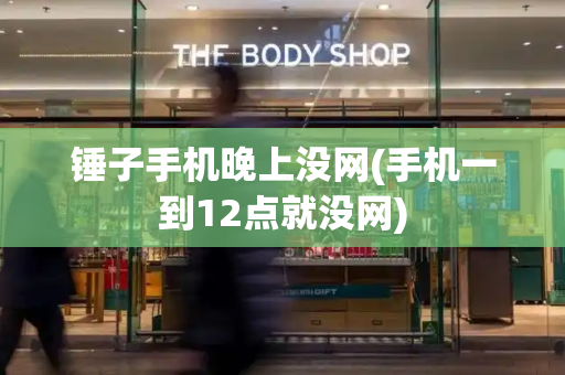 锤子手机晚上没网(手机一到12点就没网)