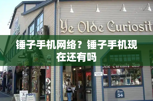 锤子手机网络？锤子手机现在还有吗-第1张图片-星选测评