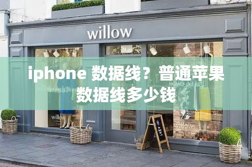 iphone 数据线？普通苹果数据线多少钱-第1张图片-星选测评