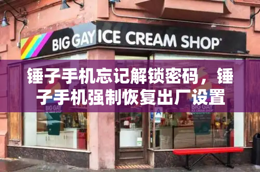 锤子手机忘记解锁密码，锤子手机强制恢复出厂设置-第1张图片-星选测评
