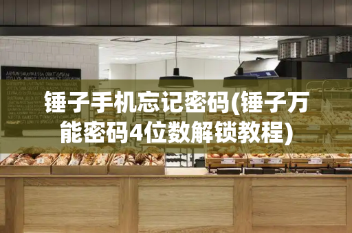 锤子手机忘记密码(锤子万能密码4位数解锁教程)-第1张图片-星选测评