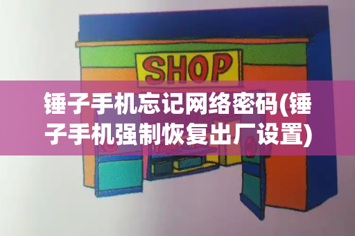 锤子手机忘记网络密码(锤子手机强制恢复出厂设置)-第1张图片-星选测评