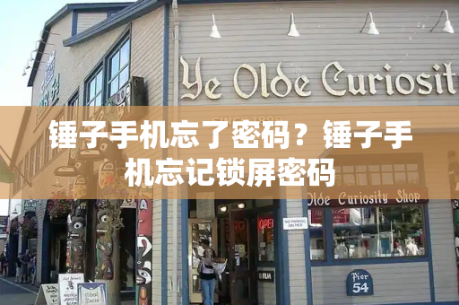 锤子手机忘了密码？锤子手机忘记锁屏密码