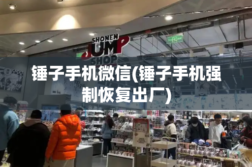 锤子手机微信(锤子手机强制恢复出厂)-第1张图片-星选测评