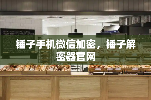 锤子手机微信加密，锤子解密器官网-第1张图片-星选测评