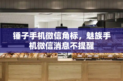 锤子手机微信角标，魅族手机微信消息不提醒-第1张图片-星选测评