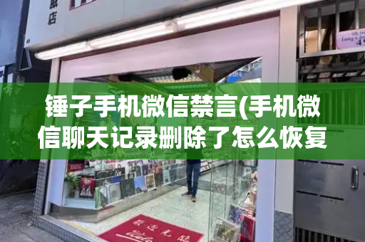 锤子手机微信禁言(手机微信聊天记录删除了怎么恢复)