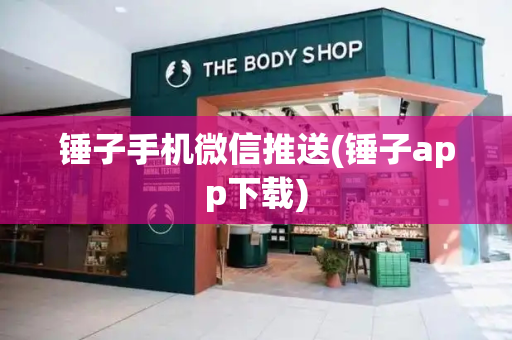 锤子手机微信推送(锤子app下载)