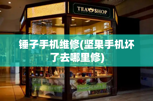 锤子手机维修(坚果手机坏了去哪里修)