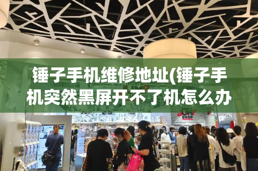 锤子手机维修地址(锤子手机突然黑屏开不了机怎么办)