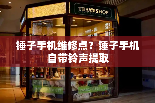 锤子手机维修点？锤子手机自带铃声提取-第1张图片-星选测评