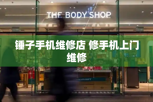锤子手机维修店 修手机上门维修