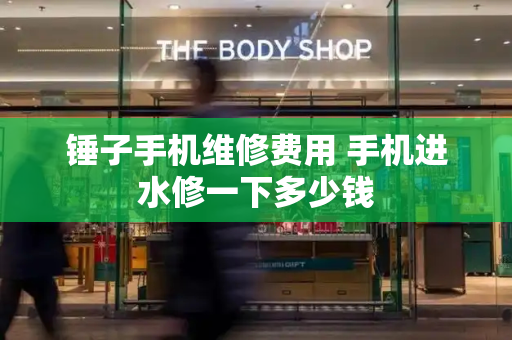 锤子手机维修费用 手机进水修一下多少钱