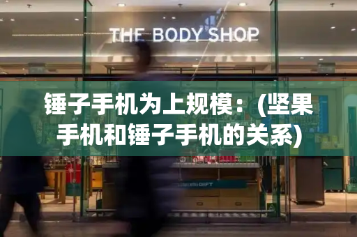锤子手机为上规模：(坚果手机和锤子手机的关系)-第1张图片-星选测评