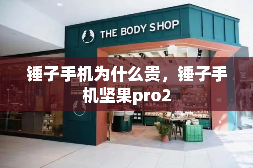 锤子手机为什么贵，锤子手机坚果pro2-第1张图片-星选测评