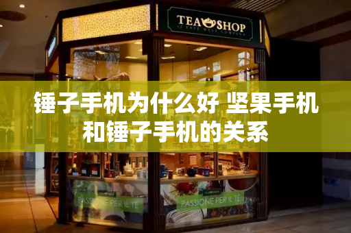 锤子手机为什么好 坚果手机和锤子手机的关系