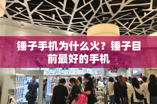 锤子手机为什么火？锤子目前最好的手机