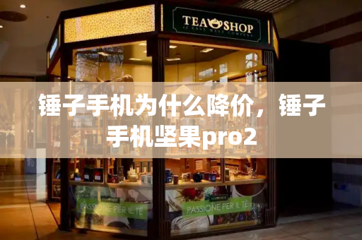 锤子手机为什么降价，锤子手机坚果pro2
