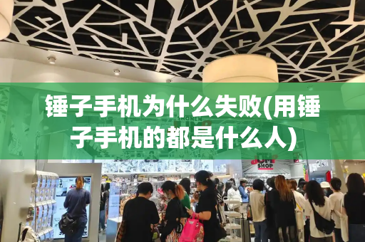 锤子手机为什么失败(用锤子手机的都是什么人)